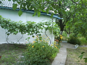 продам дачу в садово-огородном кооперативе в черте города - <ro>Изображение</ro><ru>Изображение</ru> #3, <ru>Объявление</ru> #1033142
