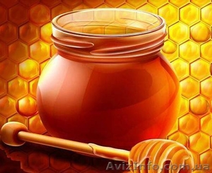 Мед бджолиний натуральний - <ro>Изображение</ro><ru>Изображение</ru> #1, <ru>Объявление</ru> #1036542