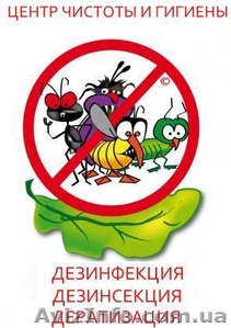 Уничтожение тараканов, клопов, клещей, грызунов, плесени в Днепропетровске. - <ro>Изображение</ro><ru>Изображение</ru> #1, <ru>Объявление</ru> #1065463
