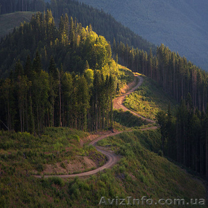 Туры в Карпаты на любой вкус.