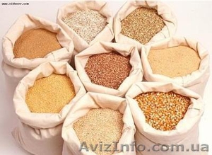  =покупаем рапс,  пшеницу,  сою,  кукурузу,  ячмень,  подсолнечник=