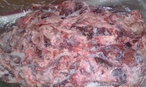 Продам мясо голов (котлетное мясо,  головизна) постность 80/20
