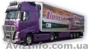 Транспортная фирма из Польши приглашает на работу водителей