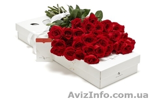 Цветы из Эквадора,купить розу недорого - <ro>Изображение</ro><ru>Изображение</ru> #1, <ru>Объявление</ru> #1259981