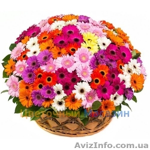 Доставка цветов, подарки, шары - <ro>Изображение</ro><ru>Изображение</ru> #5, <ru>Объявление</ru> #1275064