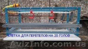 Продам клетку для перепелов - <ro>Изображение</ro><ru>Изображение</ru> #2, <ru>Объявление</ru> #1441745