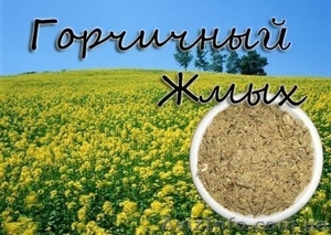 продам горчичный жмых,собственного производства - <ro>Изображение</ro><ru>Изображение</ru> #1, <ru>Объявление</ru> #1466439