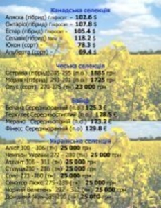 Семена подсолнечника, кукурузы, рапса  Украина Импорт 