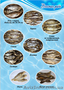 Рыба, морепродукты солено-сушеные, икра, орехи оптом - <ro>Изображение</ro><ru>Изображение</ru> #3, <ru>Объявление</ru> #1492102