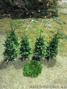 Новогодняя настольная елочка из пихты оптом