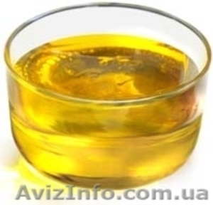 Растительное масло горячего отжима ( hot pressed sunflower oil) - <ro>Изображение</ro><ru>Изображение</ru> #1, <ru>Объявление</ru> #1521221