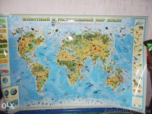  Настенные карты Мира,Украины, Европы, Детские, Политические. Большой выбор - <ro>Изображение</ro><ru>Изображение</ru> #2, <ru>Объявление</ru> #1522565
