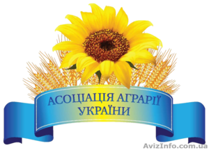Покупаем зерновые и масличные по всей Украине на постоянной основе - <ro>Изображение</ro><ru>Изображение</ru> #1, <ru>Объявление</ru> #1574434