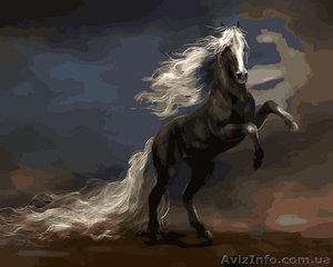 Картина по номерам Чудный конь - <ro>Изображение</ro><ru>Изображение</ru> #1, <ru>Объявление</ru> #1585283