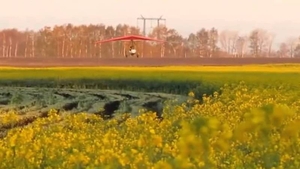 Авіахімобробка ріпаку та гороху дельтаплан вертоліт літак