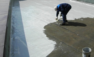 Жидкая мембрана: гидроизоляция.