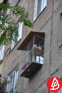 Вольєр для кішок на вікно. "Броневик" Дніпро. - <ro>Изображение</ro><ru>Изображение</ru> #5, <ru>Объявление</ru> #1744690