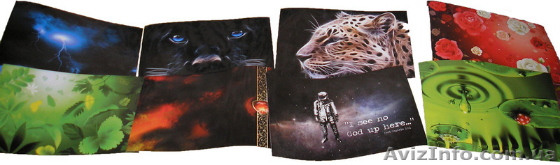  Наклейки на ноутбук: Toshiba, Samsung, Lg, Acer, Asus - <ro>Изображение</ro><ru>Изображение</ru> #3, <ru>Объявление</ru> #9578