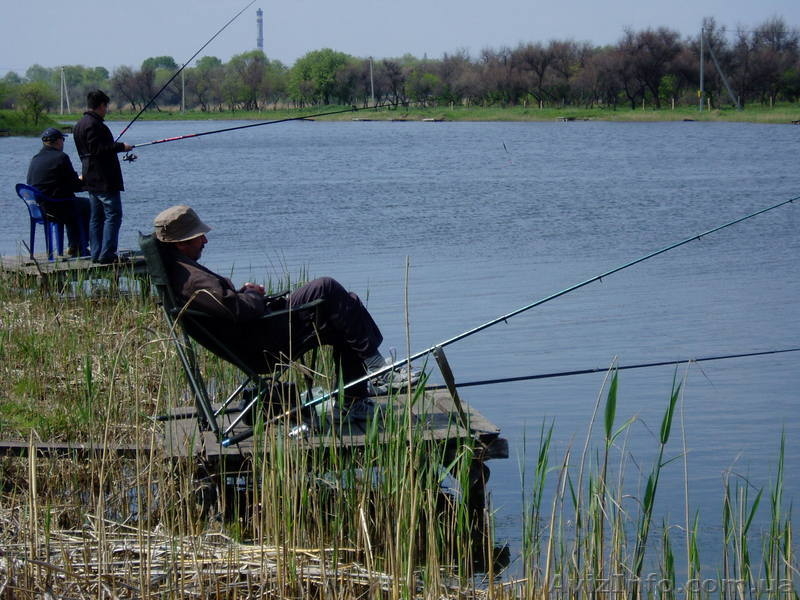 Обслуживание мероприятий любого масштаба - <ro>Изображение</ro><ru>Изображение</ru> #3, <ru>Объявление</ru> #34581