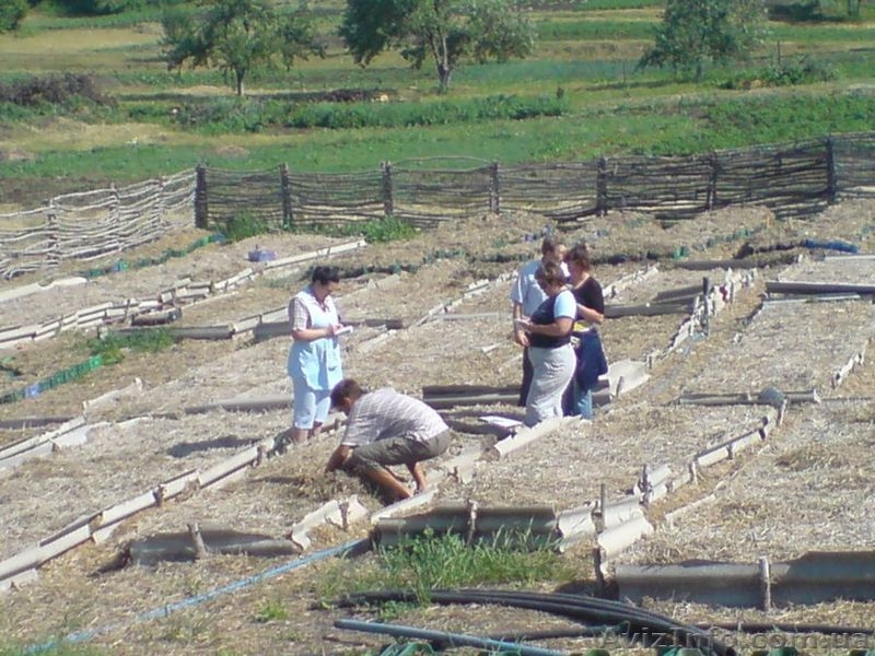 Семинары по обучению технологии переработки органики красным червем - <ro>Изображение</ro><ru>Изображение</ru> #4, <ru>Объявление</ru> #46095