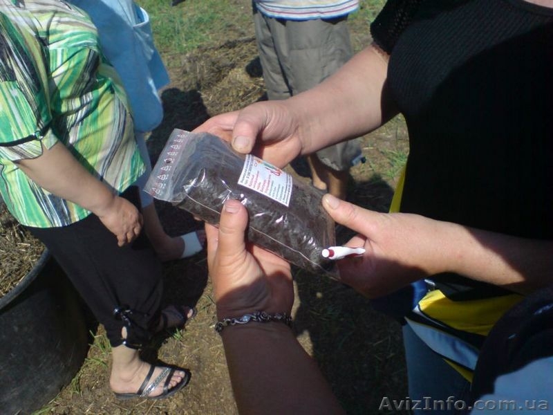 Биогумус- для здоровья сада. - <ro>Изображение</ro><ru>Изображение</ru> #4, <ru>Объявление</ru> #46089