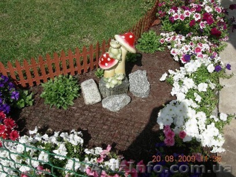 Ландшафтный дизайн Днепропетровск. Рулонные газоны - <ro>Изображение</ro><ru>Изображение</ru> #5, <ru>Объявление</ru> #72069