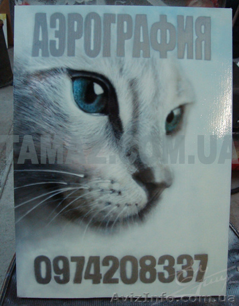 Аэрография СТО Тамаз  Днепропетровск - <ro>Изображение</ro><ru>Изображение</ru> #2, <ru>Объявление</ru> #64225
