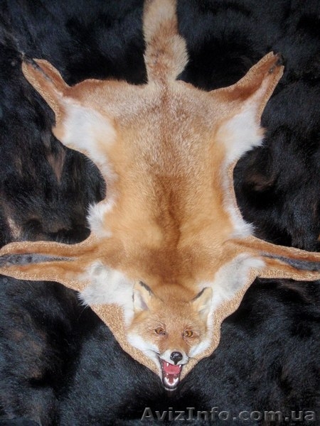 Чусела, шкуры, рога, медальоны - <ro>Изображение</ro><ru>Изображение</ru> #3, <ru>Объявление</ru> #80653