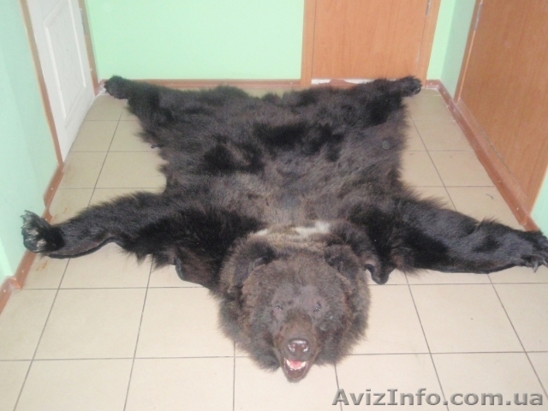 Чусела, шкуры, рога, медальоны - <ro>Изображение</ro><ru>Изображение</ru> #5, <ru>Объявление</ru> #80653