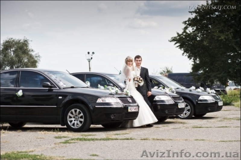 VW Passat B5+ прокат авто на свадьбу! Доступные цены! Выгодные условия! Звоните! - <ro>Изображение</ro><ru>Изображение</ru> #3, <ru>Объявление</ru> #117135