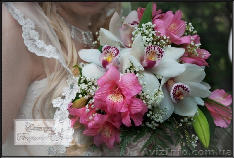 Фото студия (фото услуги) - <ro>Изображение</ro><ru>Изображение</ru> #4, <ru>Объявление</ru> #146591