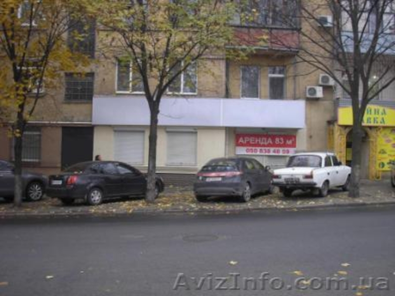 Сдается помещение под магазин, салон, аптеку, представительство - <ro>Изображение</ro><ru>Изображение</ru> #1, <ru>Объявление</ru> #173094