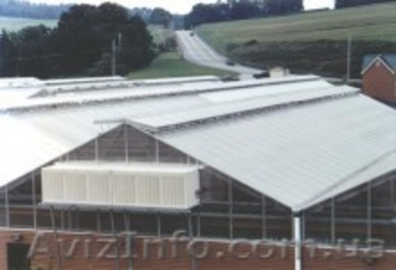 Теплицы из поликарбоната Днепропетровск - <ro>Изображение</ro><ru>Изображение</ru> #4, <ru>Объявление</ru> #161079