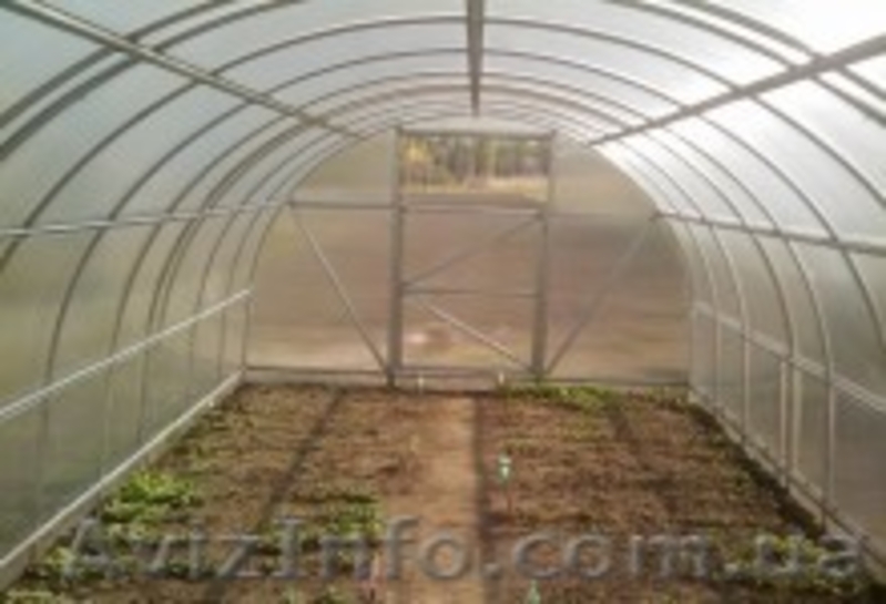 Теплицы из поликарбоната Днепропетровск - <ro>Изображение</ro><ru>Изображение</ru> #5, <ru>Объявление</ru> #161079