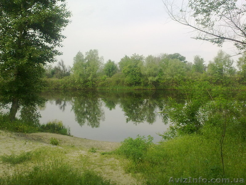 Дача Партизанское - <ro>Изображение</ro><ru>Изображение</ru> #3, <ru>Объявление</ru> #272740