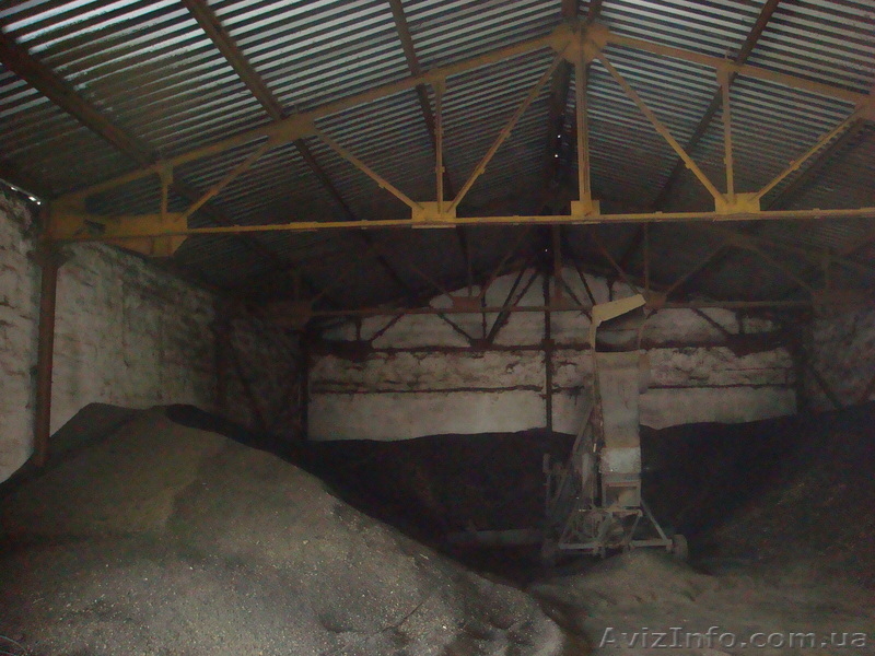 Цех по переработке семечки - <ro>Изображение</ro><ru>Изображение</ru> #3, <ru>Объявление</ru> #284666