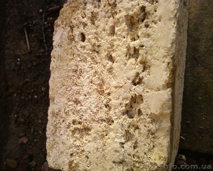 ракушняк крымский с доставкой - <ro>Изображение</ro><ru>Изображение</ru> #4, <ru>Объявление</ru> #299261