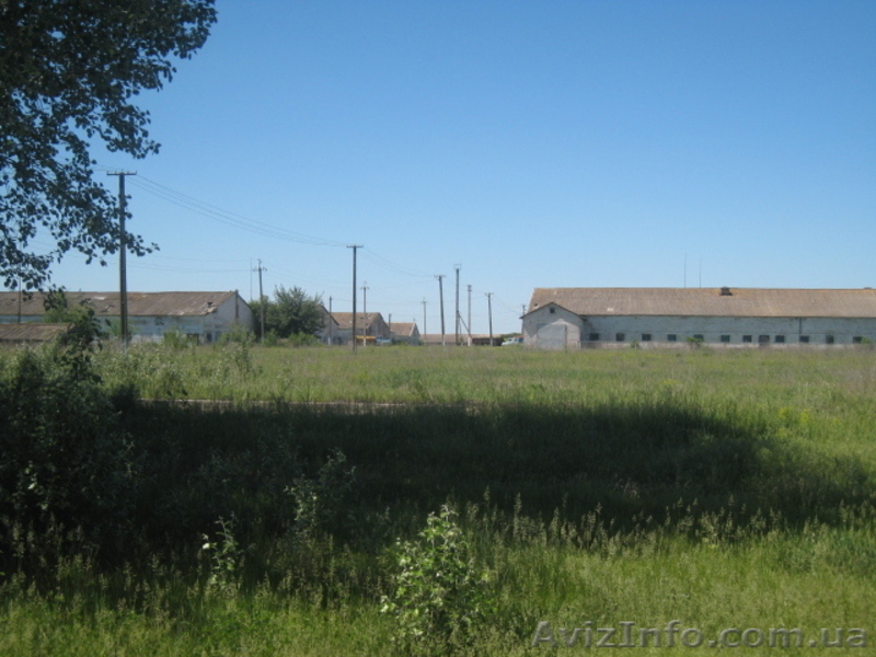 Продам свинокомплекс на 16000 голов - <ro>Изображение</ro><ru>Изображение</ru> #6, <ru>Объявление</ru> #333548