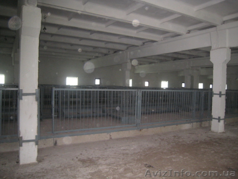 Продам свинокомплекс на 16000 голов - <ro>Изображение</ro><ru>Изображение</ru> #4, <ru>Объявление</ru> #333548