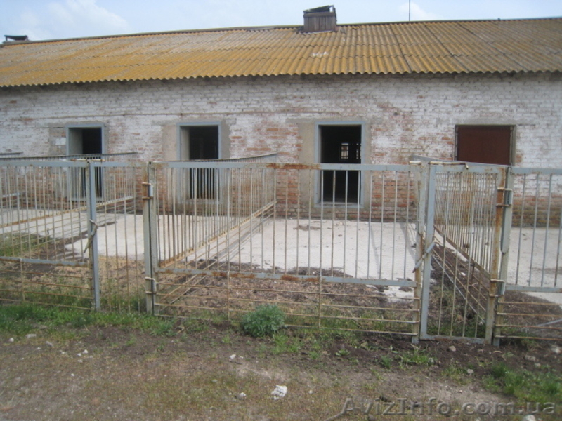 Продам свинокомплекс на 16000 голов - <ro>Изображение</ro><ru>Изображение</ru> #5, <ru>Объявление</ru> #333548