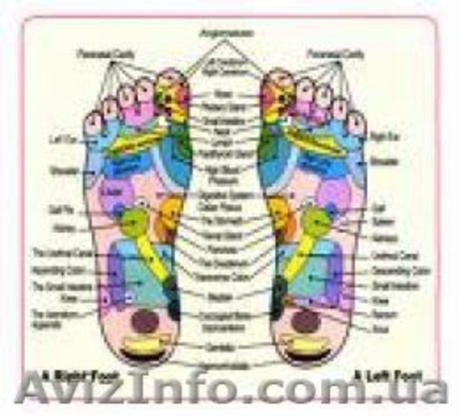 Токсиновыводящие пластыри KINOKI . В Днепропетровске  - <ro>Изображение</ro><ru>Изображение</ru> #3, <ru>Объявление</ru> #327882