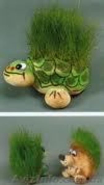 Травянчики- лучшие подарки для детей и взрослых - <ro>Изображение</ro><ru>Изображение</ru> #4, <ru>Объявление</ru> #368086