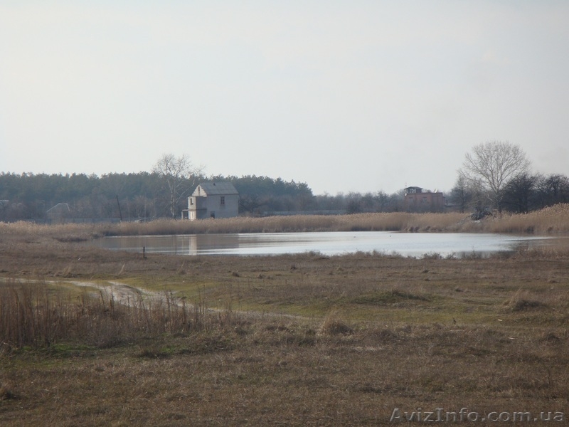 Продам дачу в Песчанке - <ro>Изображение</ro><ru>Изображение</ru> #4, <ru>Объявление</ru> #354571