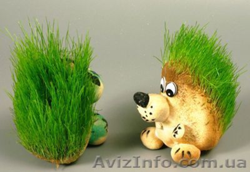 Травянчики- лучшие подарки для детей и взрослых - <ro>Изображение</ro><ru>Изображение</ru> #3, <ru>Объявление</ru> #368086