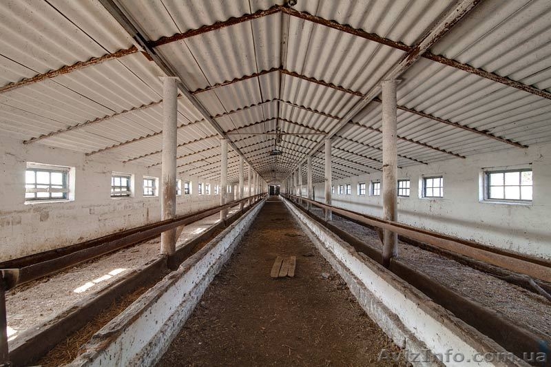 Продается животноводческий комплекс КРС  - <ro>Изображение</ro><ru>Изображение</ru> #4, <ru>Объявление</ru> #370877