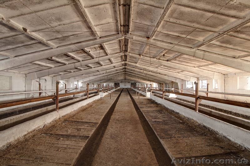 Продается животноводческий комплекс КРС  - <ro>Изображение</ro><ru>Изображение</ru> #3, <ru>Объявление</ru> #370877