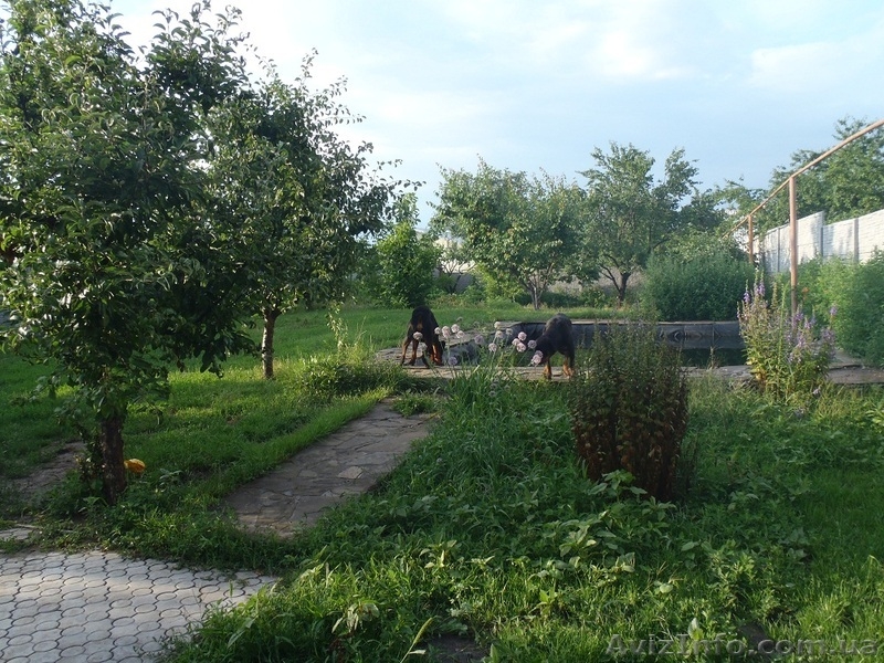 Продаётся солнечный дом на ул. Передовая     - <ro>Изображение</ro><ru>Изображение</ru> #3, <ru>Объявление</ru> #381877