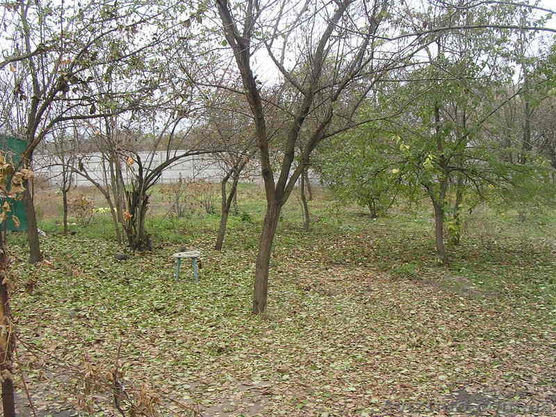 Дом КИРОВСКОЕ ,участок 17 сот,5 мин. до леса,10 мин до центра - <ro>Изображение</ro><ru>Изображение</ru> #3, <ru>Объявление</ru> #438930