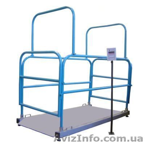 Ремонт,  модернизация и продажа всех типов весов - <ro>Изображение</ro><ru>Изображение</ru> #6, <ru>Объявление</ru> #235150