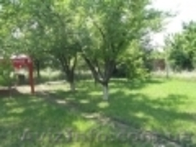 дачный участок-сад,трава, лето - <ro>Изображение</ro><ru>Изображение</ru> #3, <ru>Объявление</ru> #591627